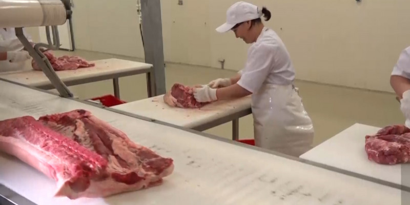Половина мясо-перерабатывающих предприятий закрылась в СКО