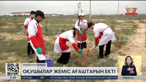 Маңғыстаулық оқушылар саябаққа жүздеген жеміс ағашын екті