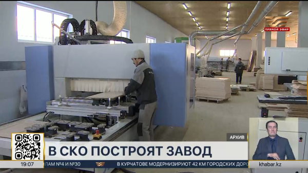 Деревообрабатывающий завод построят в СКО