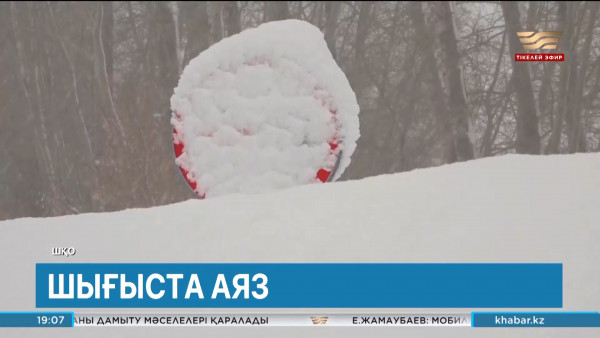 Семейде көктайғақтан жарақат алушылар саны артты. Өңір жаңалықтары