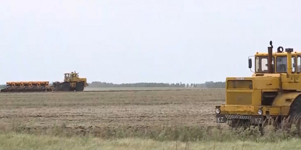 Қостанайлық диқандар: былтырғы қуаңшылық қайталанса, қарызға белшеден батамыз