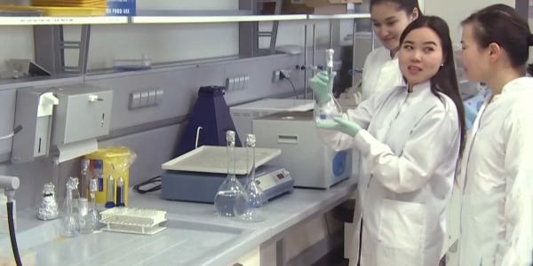 Около 19 млрд тенге выделят из госбюджета на повышение стипендий