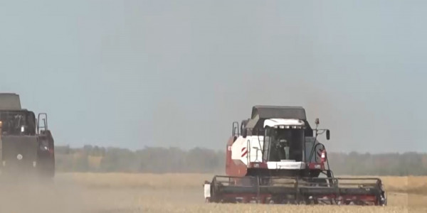 3 млн 700 тыс. тонн зерновых собрали в СКО