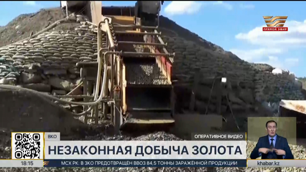 Незаконная добыча золота в ВКО: суд вынес приговор