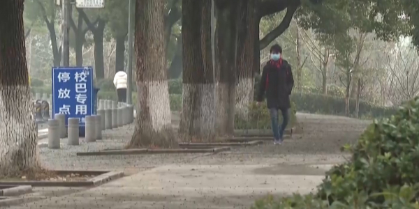 Высокий уровень угрозы объявила ВОЗ из-за распространения коронавируса