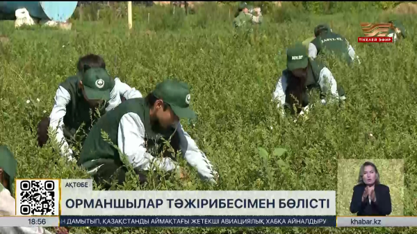 Ақтөбеде жастарға экологиялық шеберлік сағаты өтті