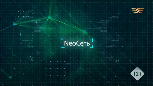 Как защититься от кибермошенничества. &laquo;NeoСеть&raquo;
