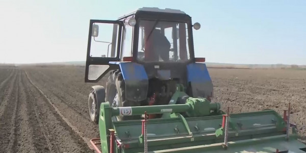 Еліміздің оңтүстігінде көктемгі егіс қарқын алды