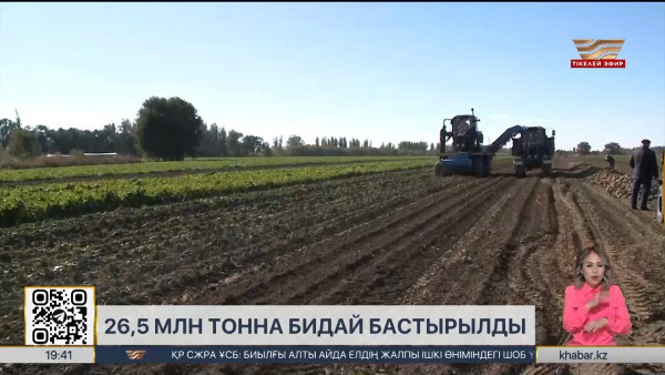 Егін жинау науқаны: 26,5 млн тонна бидай бастырылды