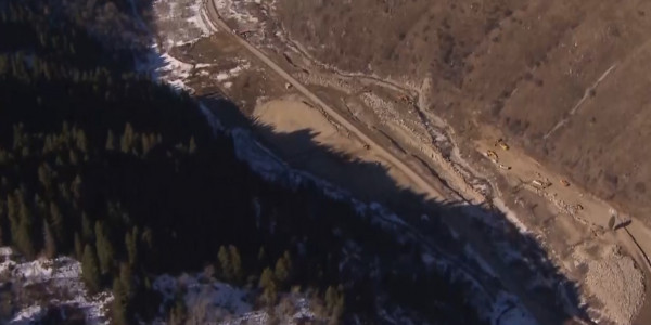 Іле Алатау ұлттық паркінде төрт мың ағаш заңсыз оталды