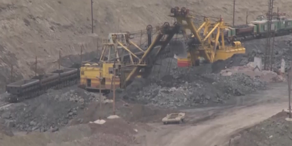 Скелет древней рыбы нашли во время отработки карьера в Костанайской области