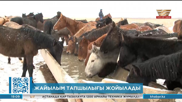 Жайылым тапшылығы жойылады