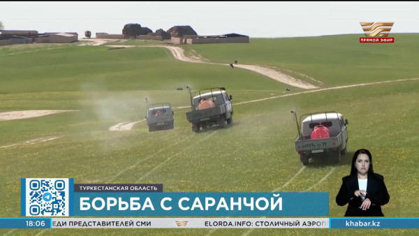 Обработка против саранчи завершена в Туркестанской области