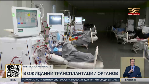 Более 200 человек ждут пересадки органов в Павлодарской области