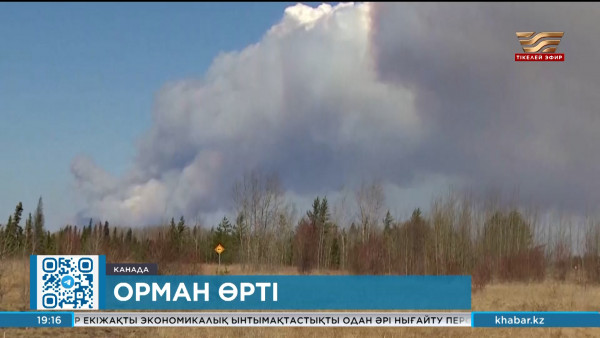 Канаданың Альберта өңірінде орман өрті өршіп тұр