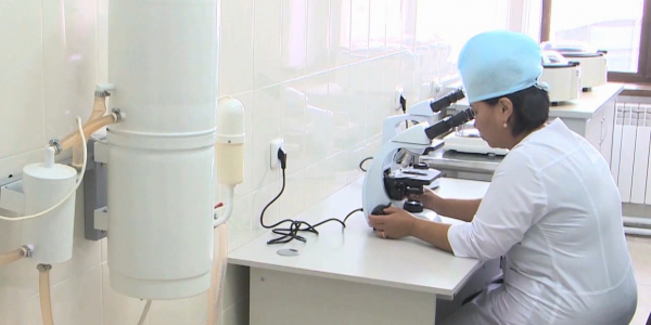 Tuberkulezge karsy ekpe