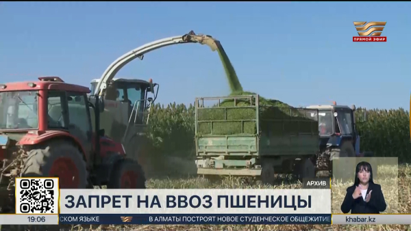 Ввоз пшеницы запретят в Казахстане