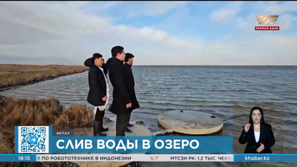 Началось расследование массовой гибели лебедей в Караколе