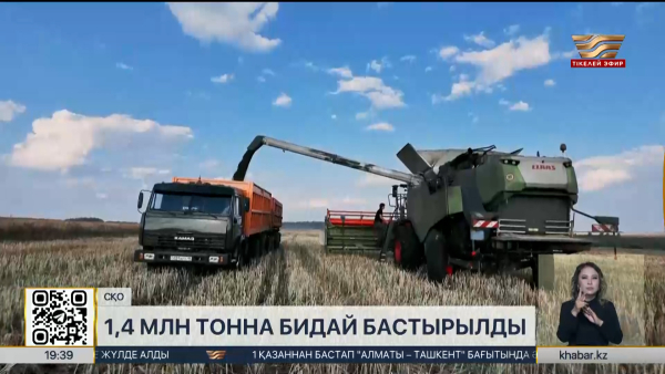 СҚО-да 1,4 млн тонна бидай бастырылды