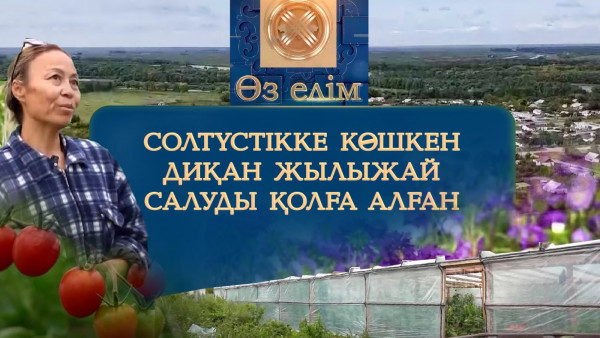Солтүстікке көшкен диқан жылыжай салуды қолға алған | Өз елім