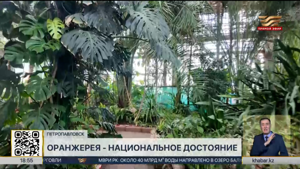 Оранжерею Петропавловска признали национальным достоянием