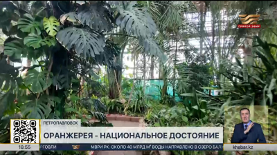 Оранжерею Петропавловска признали национальным достоянием