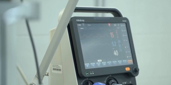 В поселке Топар обнаружили локальный случай сибирской язвы