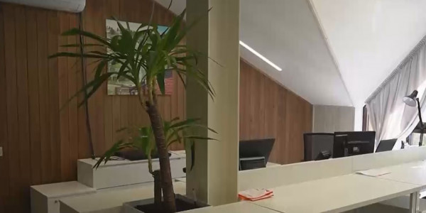 Наградили победителей конкурса &laquo;Зелёный офис&raquo;