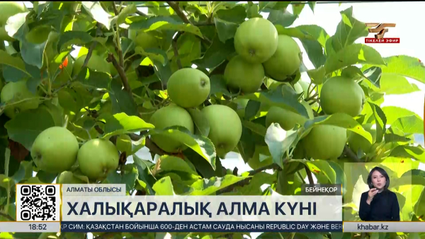 Отандық алма сұрыптары шетелдік өнімнен дәмдірек – ғалымдар