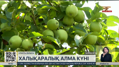 Отандық алма сұрыптары шетелдік өнімнен дәмдірек – ғалымдар