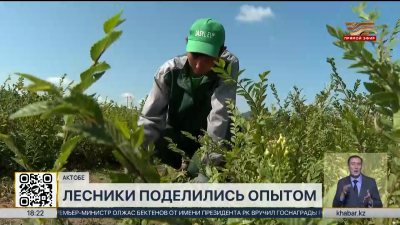 Мастер-класс для бойцов «Жасыл ел» прошёл в Актобе