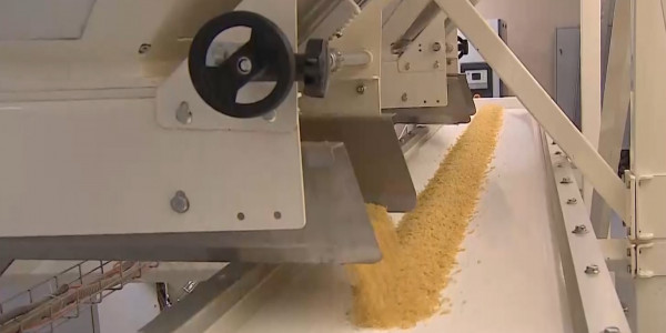 Партия &laquo;Ауыл&raquo; обеспокоена состоянием зерноперерабатывающей отрасли Казахстана