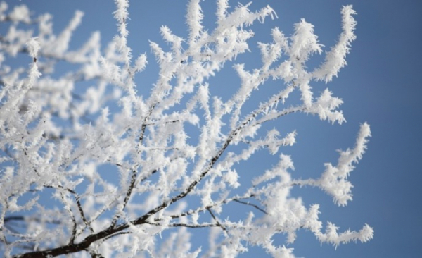 Мороз до -40 обещают в Казахстане