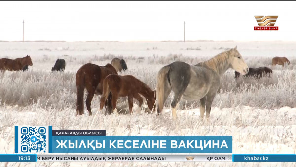 Қарағанды облысында жылқыға тиген аурудың өршуіне байланысты карантин жарияланды