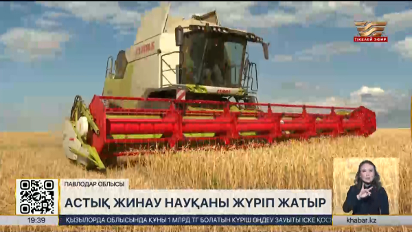 Павлодар облысында астық жинау науқаны жүріп жатыр