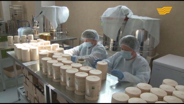 Президенттің бес әлеуметтік бастамасы ел дамуына оң серпін береді