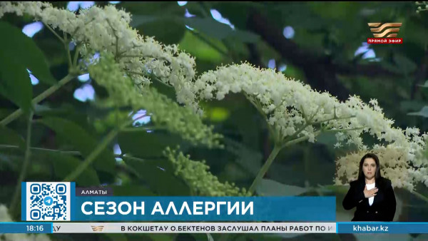 Как бороться с аллергией