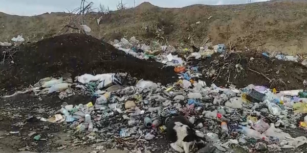 Батыс Еуропа &ndash; Батыс Қытай автомагистралі күл-қоқыс тастайтын алаңға айналды