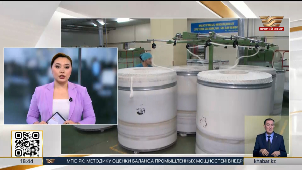 От торговли к производству: как планируют развивать бизнес в Казахстане