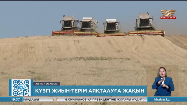 Жетісуда егін орағы аяқталуға жақын