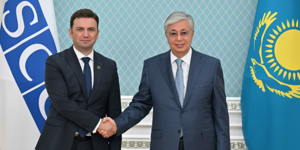 Касым-Жомарт Токаев принял действующего председателя ОБСЕ