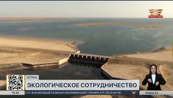 Страны Приаралья приступают к спасательной операции высыхающего моря