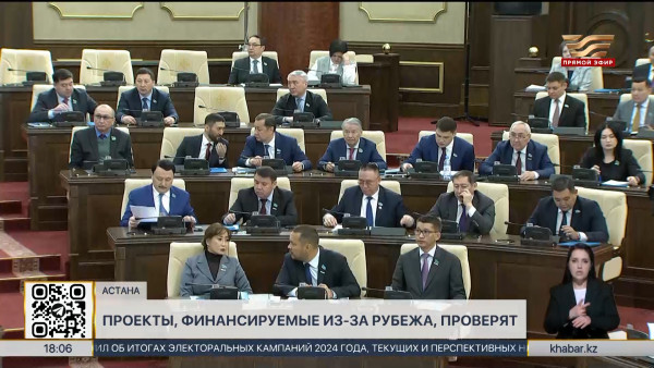 Депутаты требуют проверить проекты, финансируемые зарубежными организациями