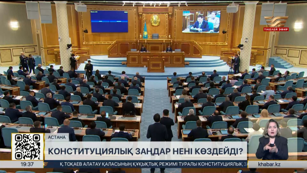 Конституциялық заңдар нені көздейді?