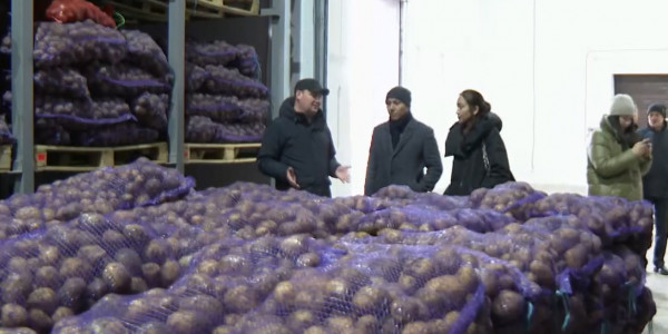 О ценах на овощи в 2022 году высказались в акимате Нур-Султана