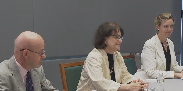 Қасым-Жомарт Тоқаев БҰҰ Бас хатшысының арнаулы өкілі Дебора Лайонсты қабылдады