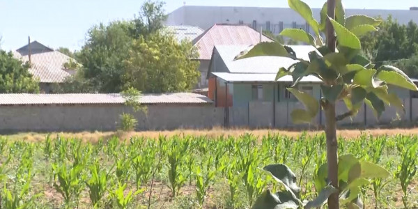 Скандал вокруг футбольного поля в микрорайоне Тассай разгорелся в Шымкенте