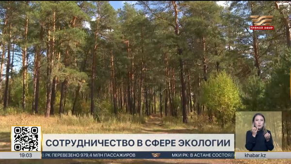 Казахстан укрепляет международное партнерство в сфере экологии