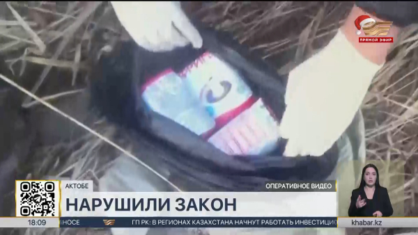 Интернет-магазин по продаже психотропных веществ ликвидировали в Актобе