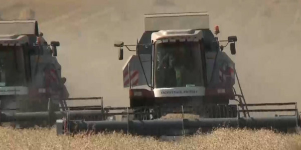 Отсрочек по сельскохозяйственным кредитам просят аграрии ВКО